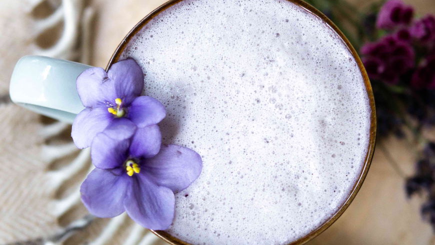Moon Milk: Alles über den lila Schlummertrunk für magische Nächte