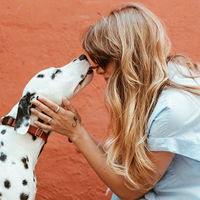 Die 5 besten Hunderassen für Singles