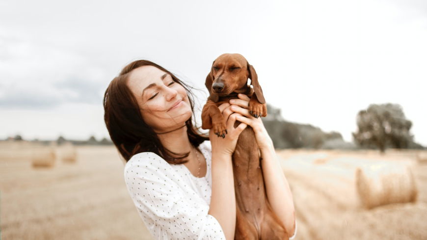 5 Anzeichen, dass dein Hund eifersüchtig ist – und was du dagegen tun kannst! 