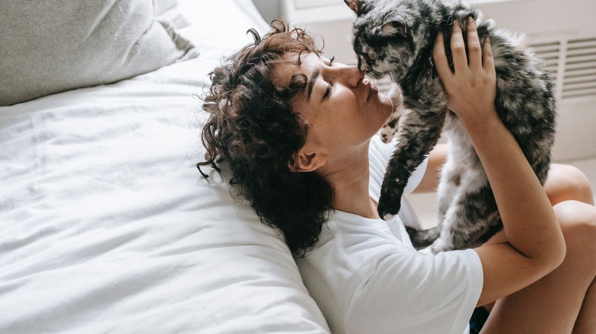 Diese Katze passt zu dir – laut Horoskop