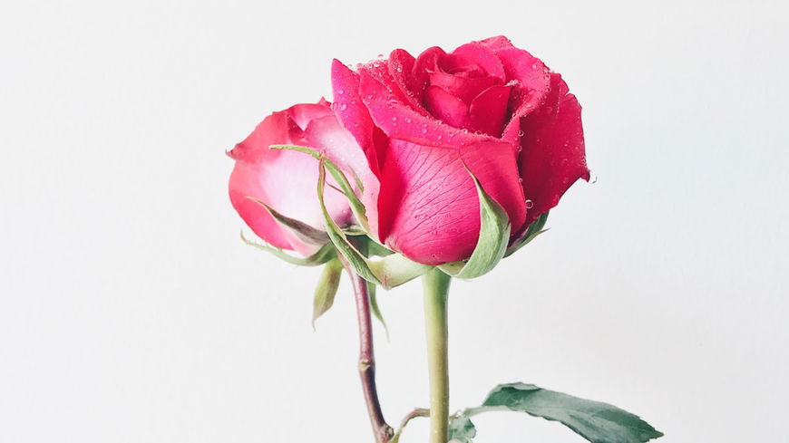 Ist DIESE Bachelor-Kandidatin die neue "Bachelorette 2021"?