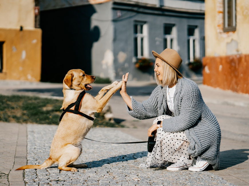 Frau mit Hund