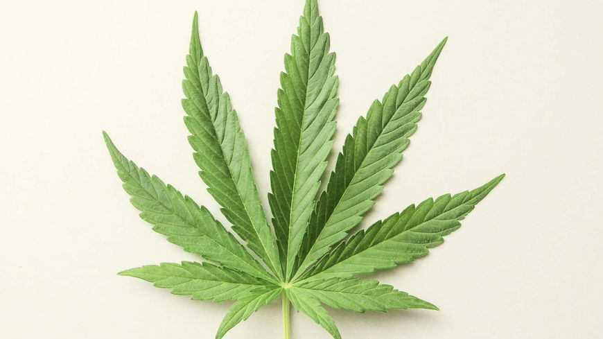 CBD Kristalle - Cannabidiol in höchster Reinheit 