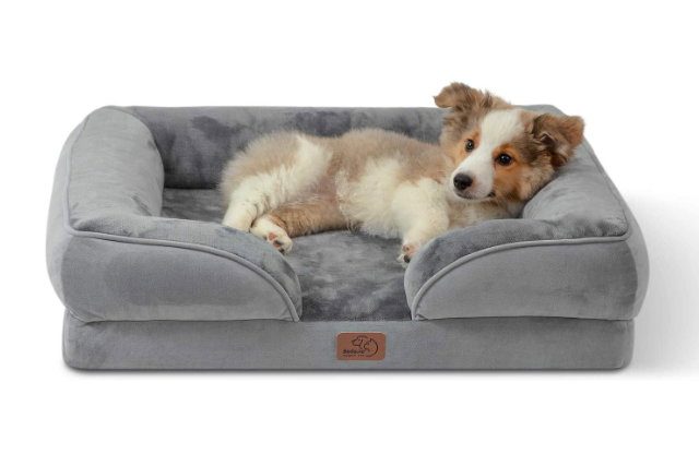 Hundebetten