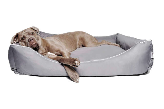 Hundekissen