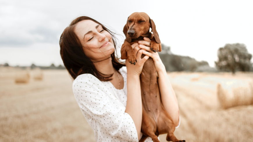 So lernst du deinen Hund besser kennen