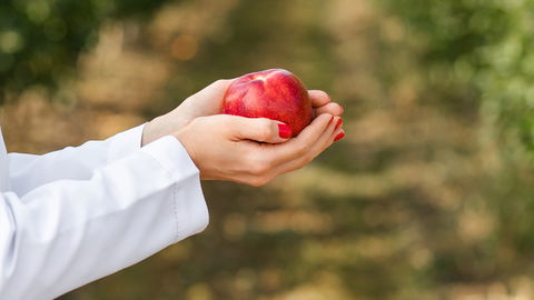 Stoffwechsel ankurbeln: Mit diesen 5 Obstsorten gelingt es dir