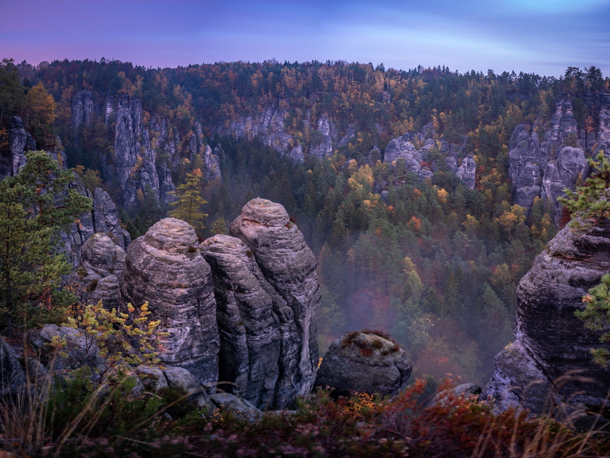 Elbsandsteingebirge mit vielen Bäumen dazwischen.