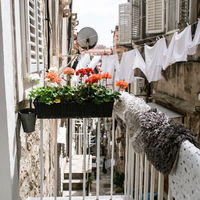 Blumen für den Balkon: 4 pflegeleichte und robuste Pflanzen