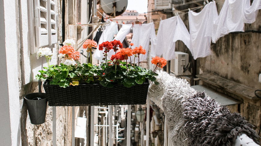 Blumen für den Balkon: 4 pflegeleichte und robuste Pflanzen