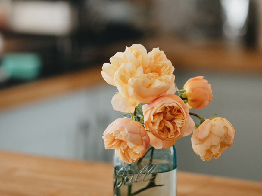 Blumen pflegen