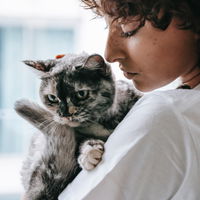 4 Dinge, die du von deiner Katze lernen kannst