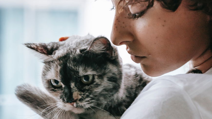 4 Dinge, die du von deiner Katze lernen kannst