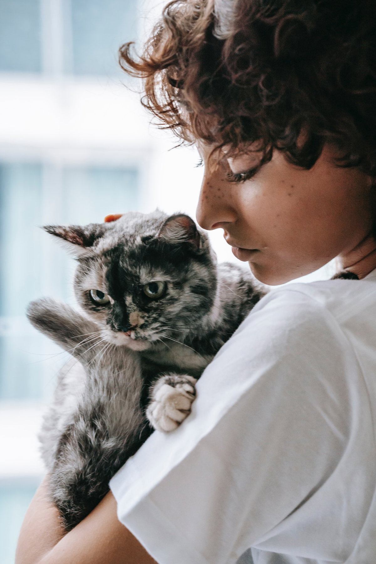Frau mit Katze auf dem Arm