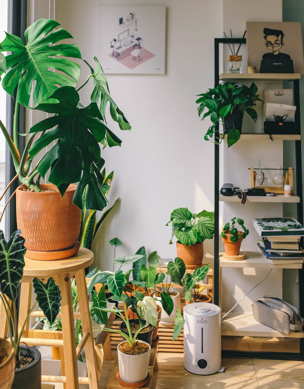 Pflanzen in Wohnung