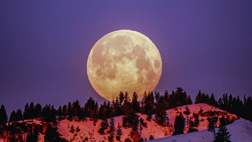 Das erwartet dich am Supervollmond am 30. und 31. August – laut deinem Sternzeichen