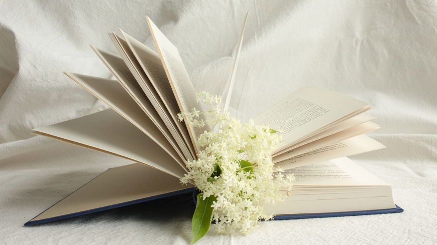 3 Bücher, die Frauen während und nach einer Brustkrebserkrankung unterstützen