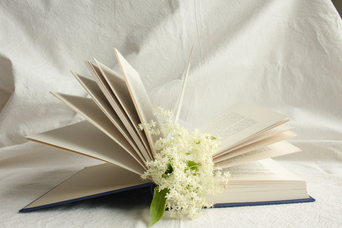 Buch mit Blume