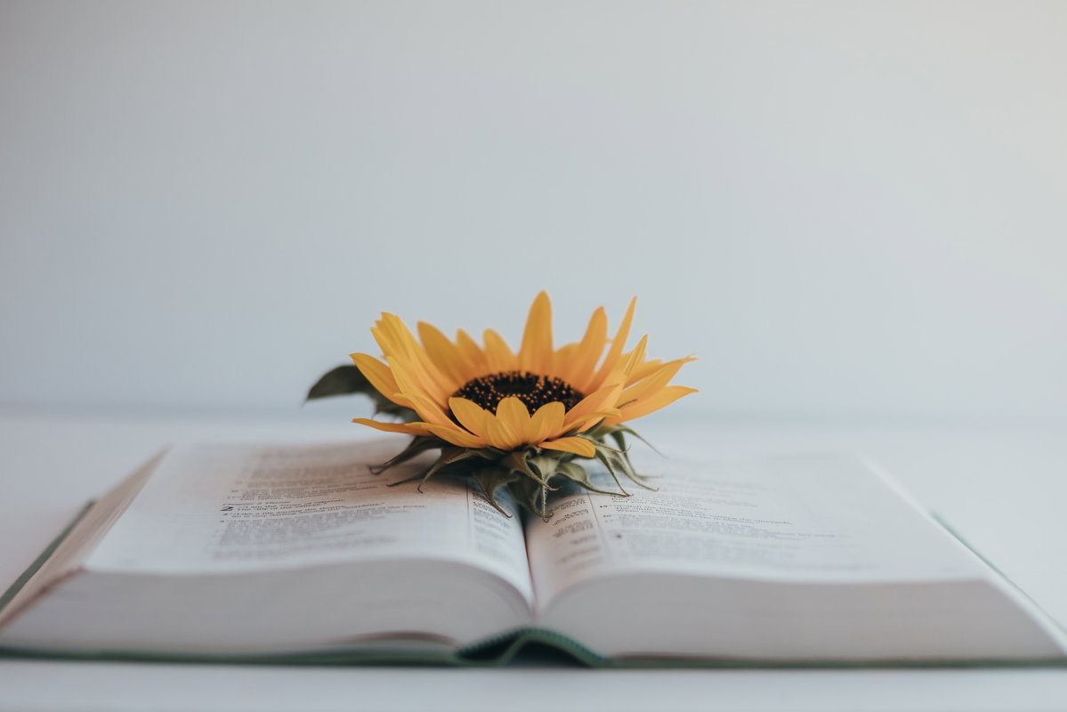 Buch mit Sonnenblume