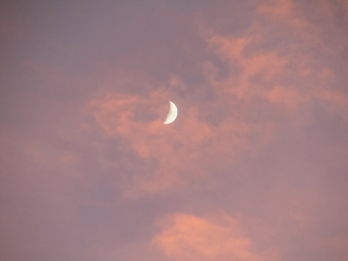 Mond