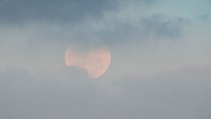 Wochenhoroskop: Das erwartet alle Sternzeichen vom 20. bis 26. Mai