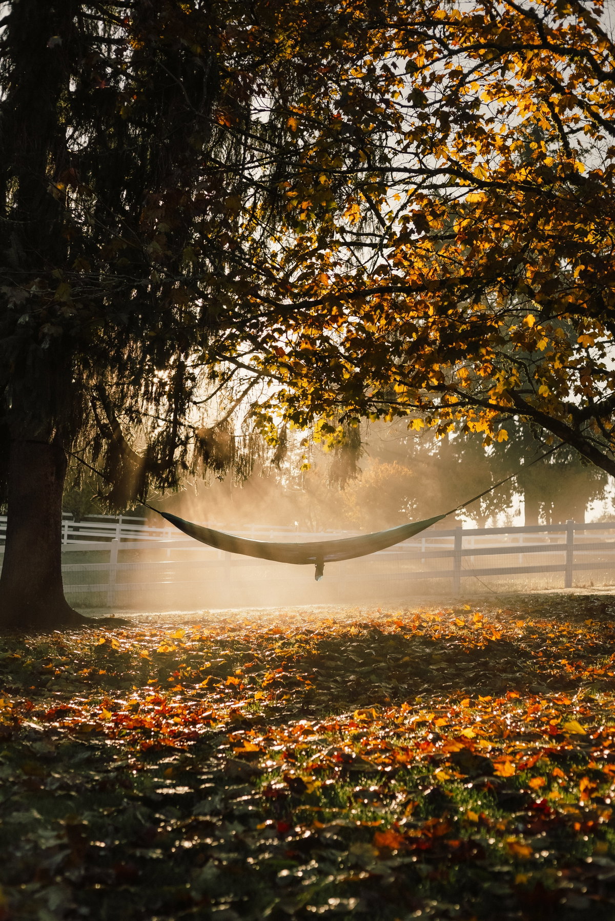 Hängematte in der herbstlichen Sonne
