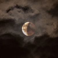Nebelvollmond am 27. November: Diese Sternzeichen profitieren besonders von ihm