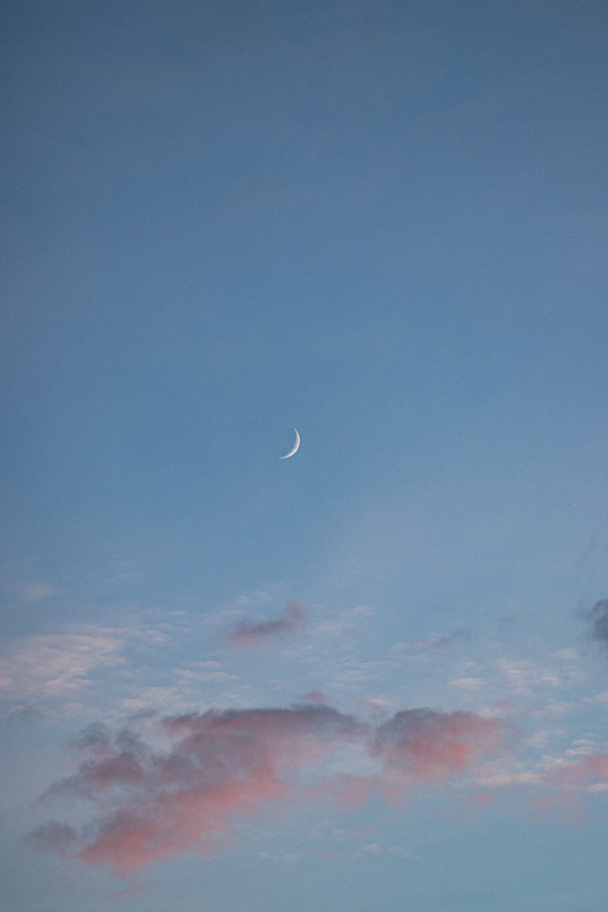 Neumond am Himmel mit rosafarbenen Wolken