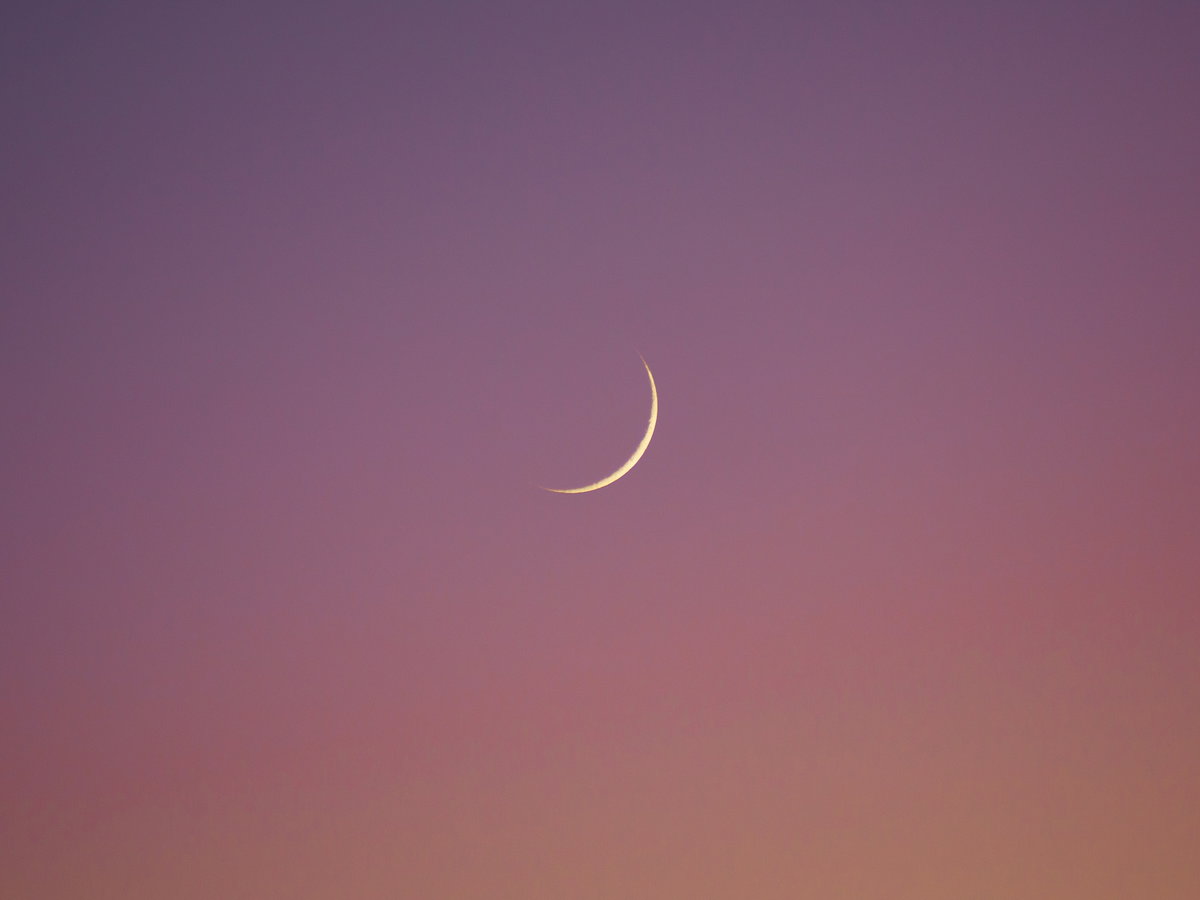 Neumond am rosa-orangefarbenen Himmel