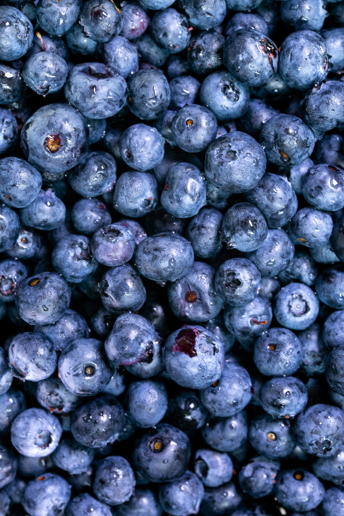 Blaubeeren