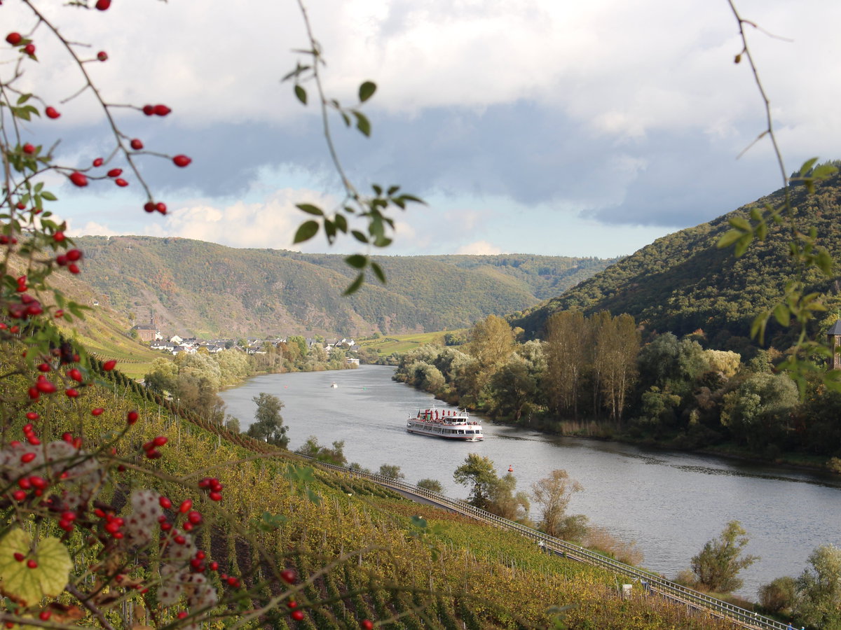 Mosel