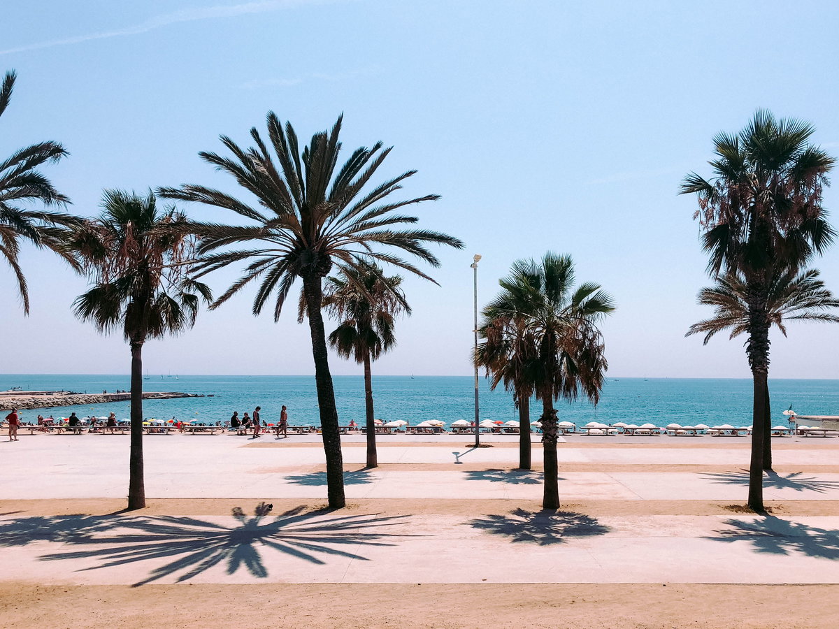 Palmen an der Promenade mit Blick aufs Meer.