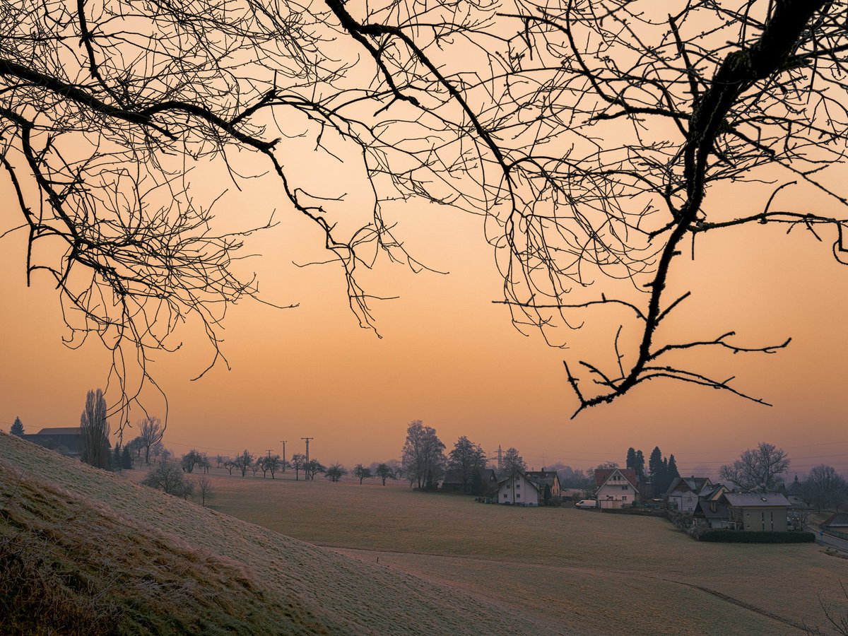 Schwarzwald