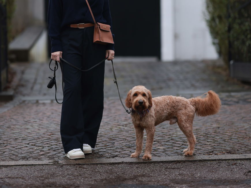 Frau mit weißen Sneakern und Hund