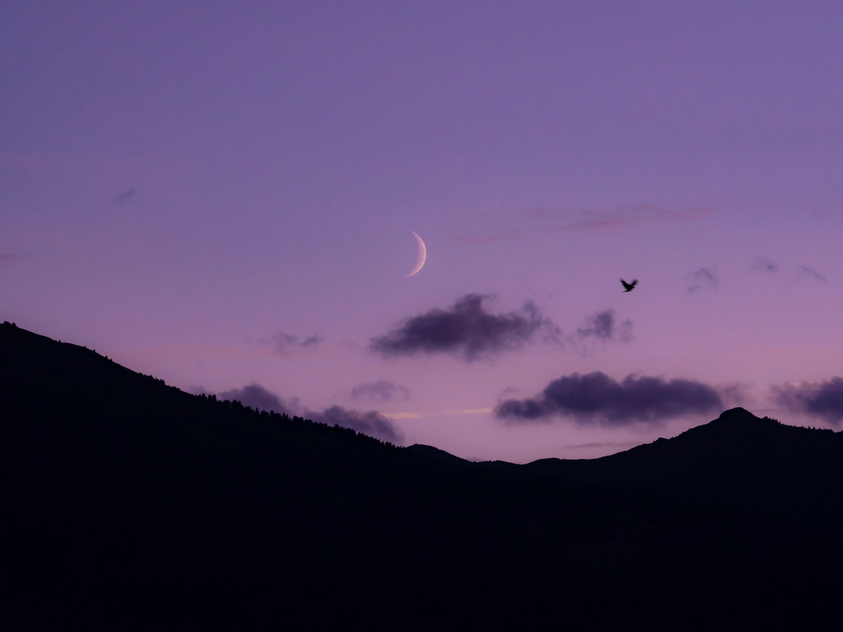 Neumond am rosafarbenen Himmel