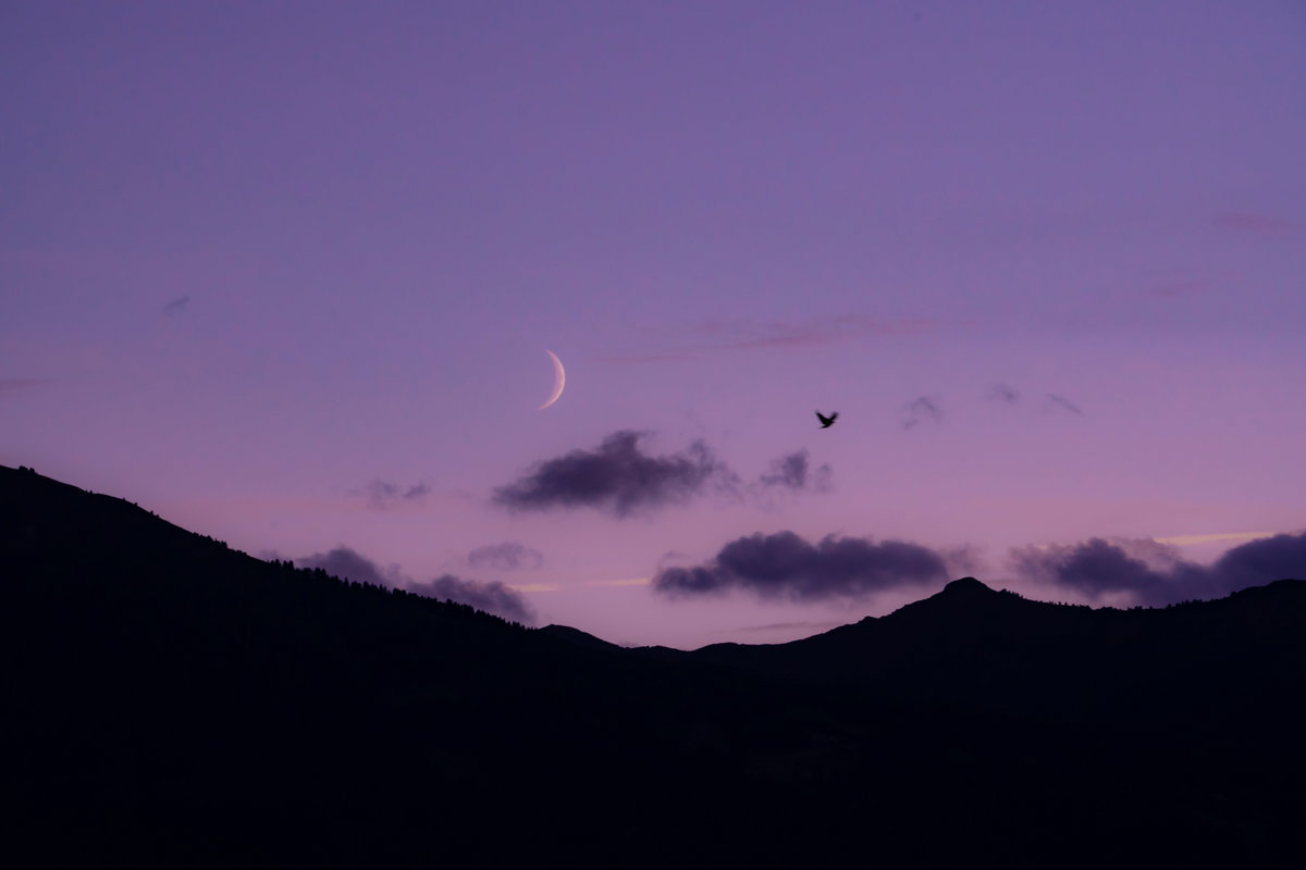 Neumond am rosafarbenen Himmel