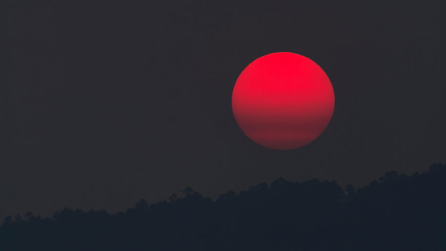 Diese 3 Sternzeichen spüren den "Pink Moon" am 24. April besonders stark