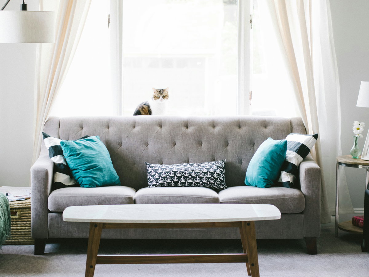Grauer Sofa mit türkisen Kissen