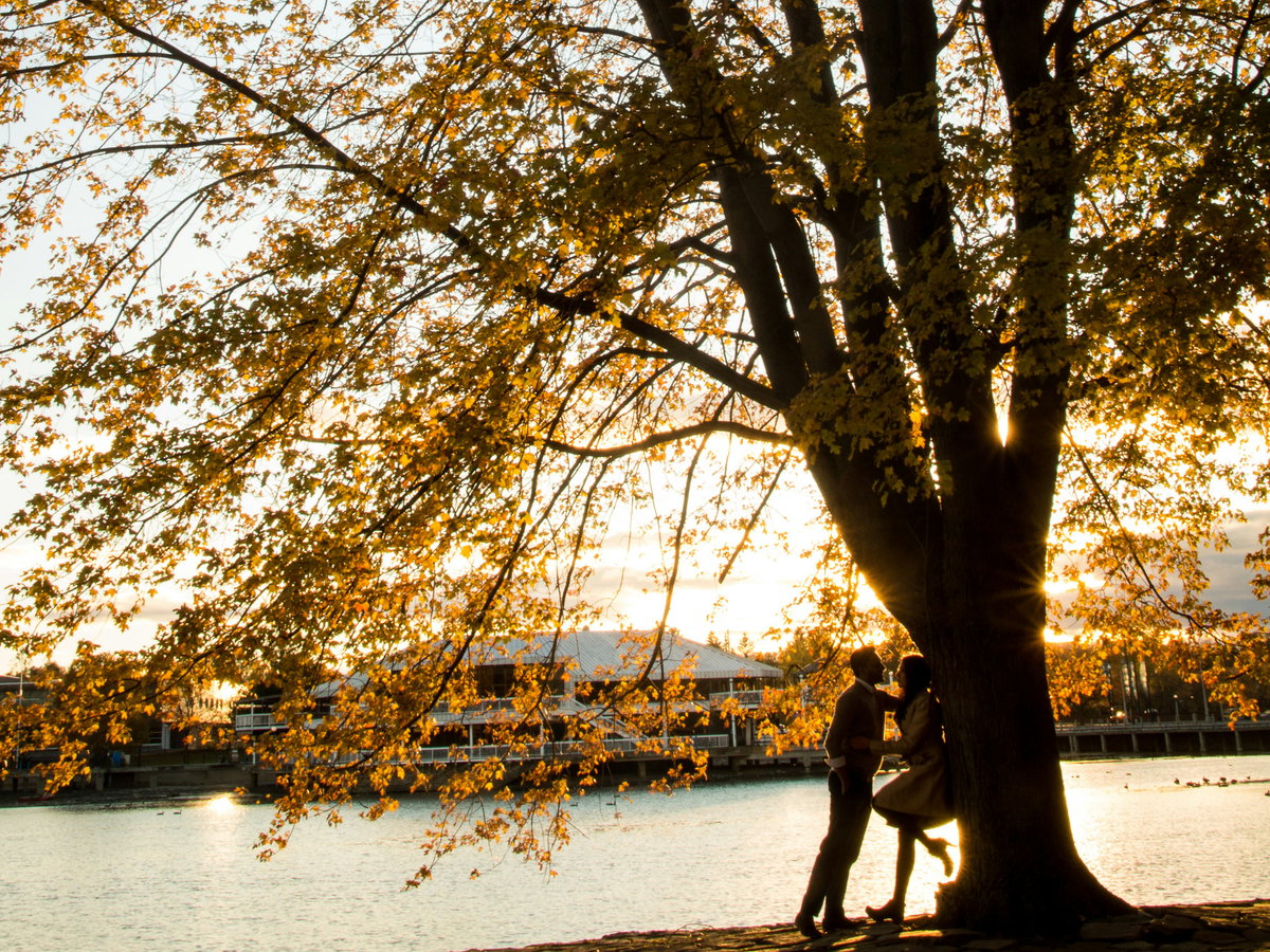 Pärchen unter einem Herbstbaum
