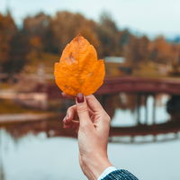 Cinnamon Nails sind die eleganteste Maniküre für den Herbst