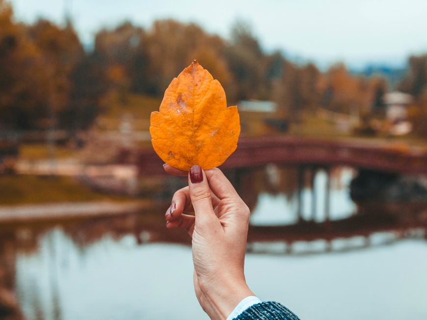 Braune Fingernägel mit Herbstblatt