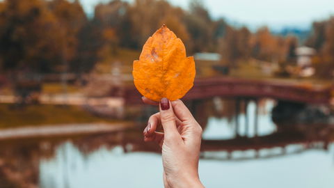 Cinnamon Nails sind die eleganteste Maniküre für den Herbst