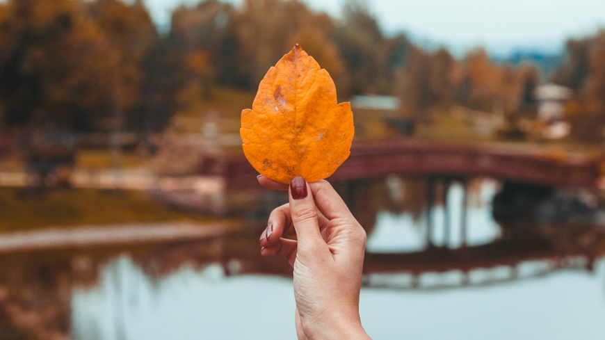 Cinnamon Nails sind die eleganteste Maniküre für den Herbst