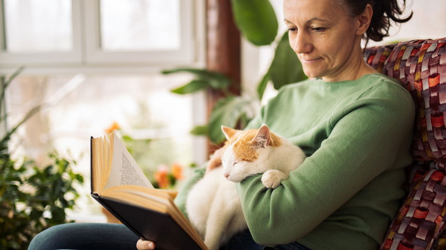 Meine Katze schläft auf mir – was hat das zu bedeuten?