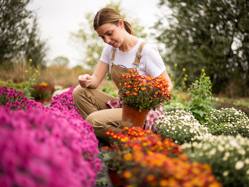 Eine Frau pflanzt Blumen im Garten ein