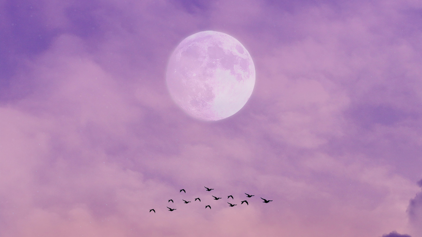 Monatshoroskop: So wirkt sich der Vollmond auf deinen Februar aus