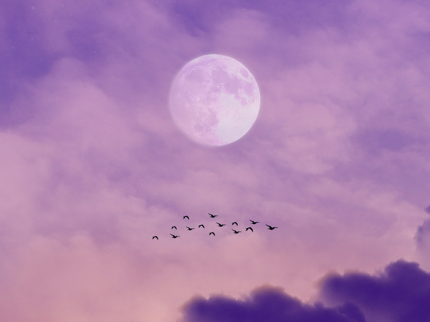 Lila Himmel mit Vollmond