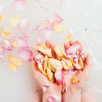 Diese blumigen Drogerie-Duschgele duften besser als jedes Parfum