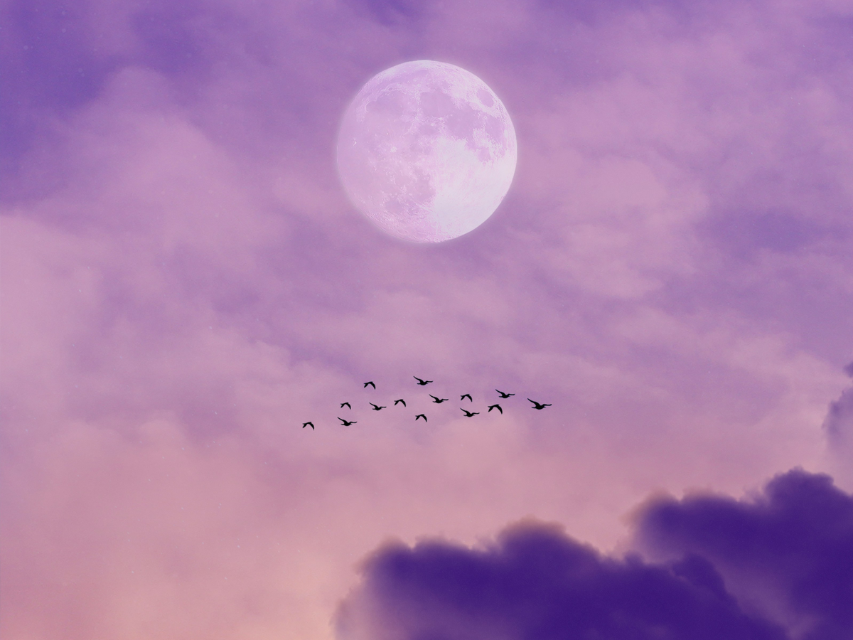 Mond an lila Abendhimmel
