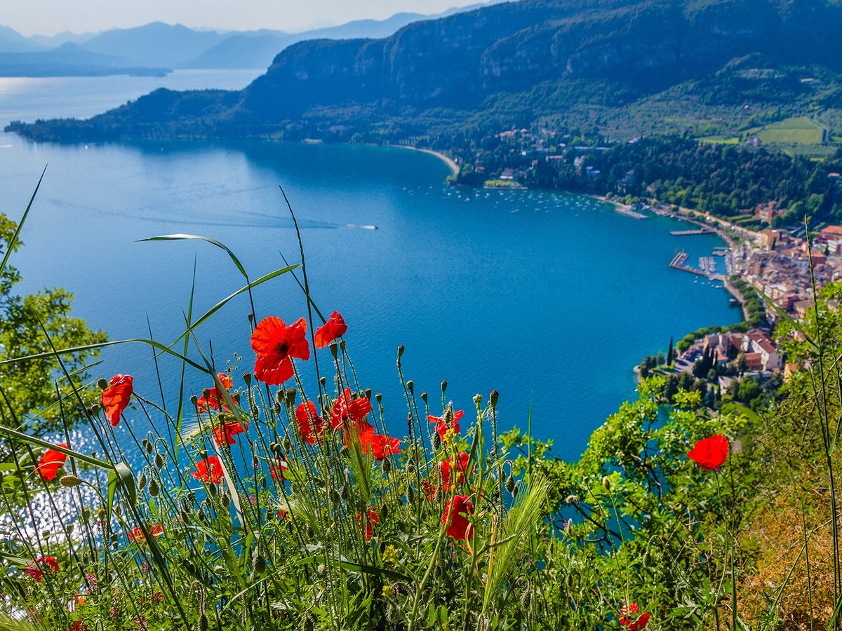 Blick auf den Gardasee von oben mit Pflanzen vorne im Bild.